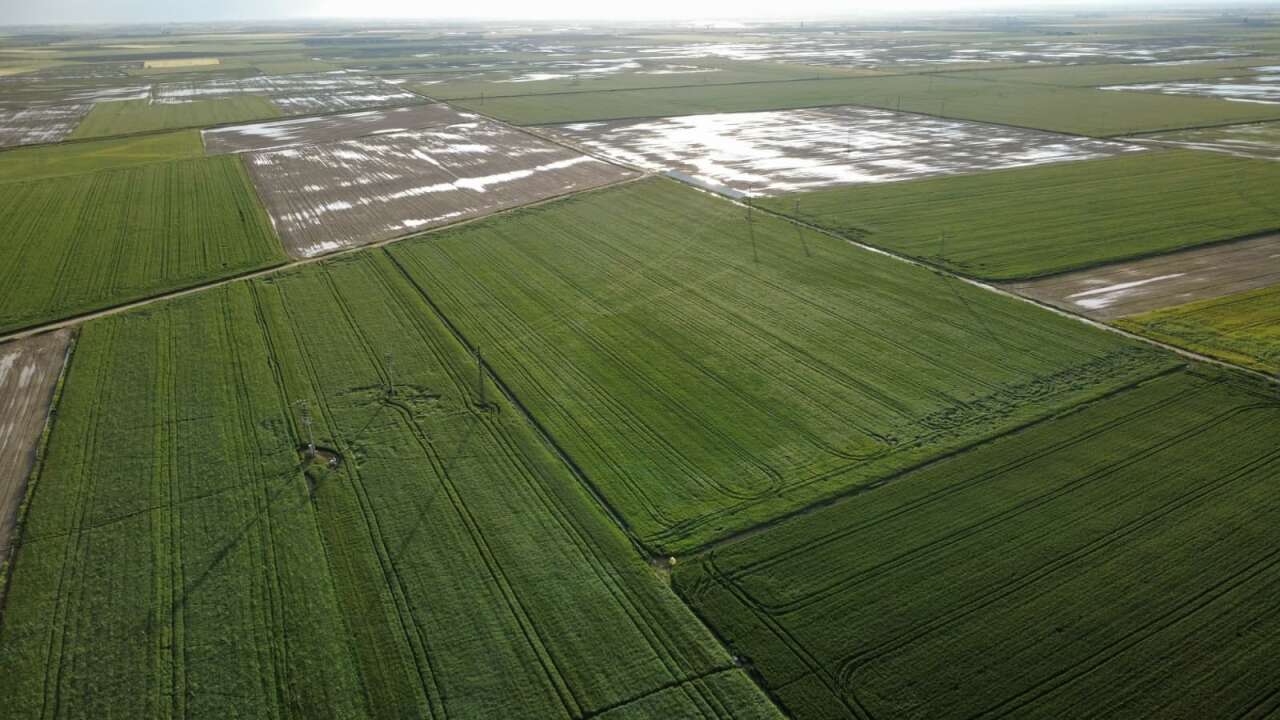 Konya’da kırmızı alarm! Sağanak yağışın vurduğu mahallede son durum 4